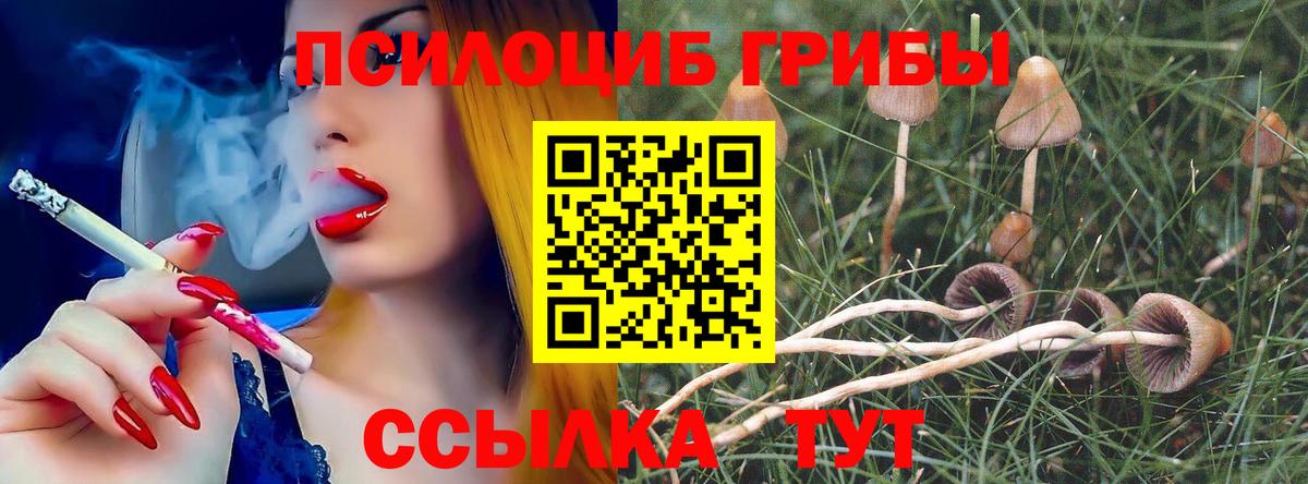 Галлюциногенные грибы мухоморы Моздок